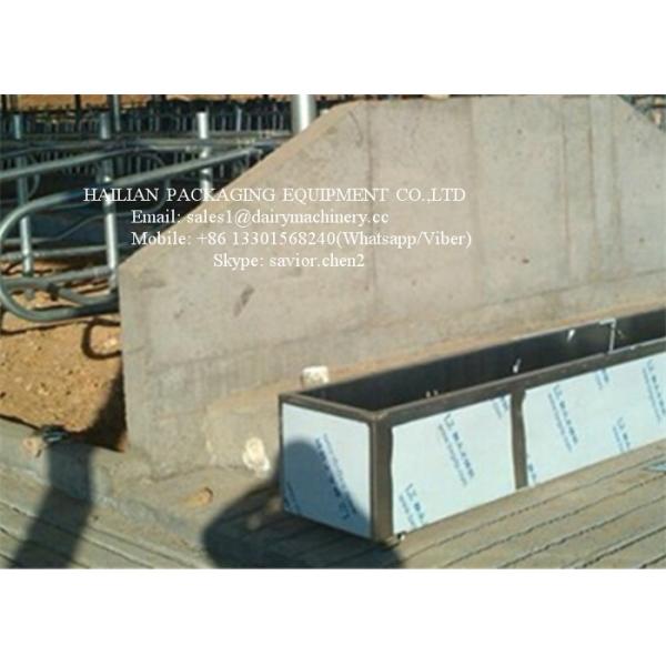 Los tanques de agua del ganado del acero inoxidable para la vaca que bebe, ordeñadora