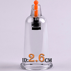500 MIX Ventouse Ventosa Cupping Massa Single Size Suction Cupping Set with Pump Tool