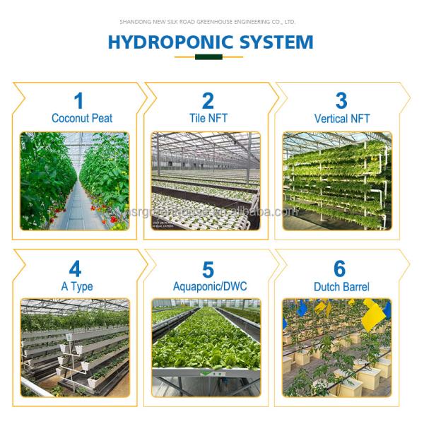 vegetable garden greenhouse frame agricultural greenhouses tunneling polycarbonate greenhouses supplier for plants