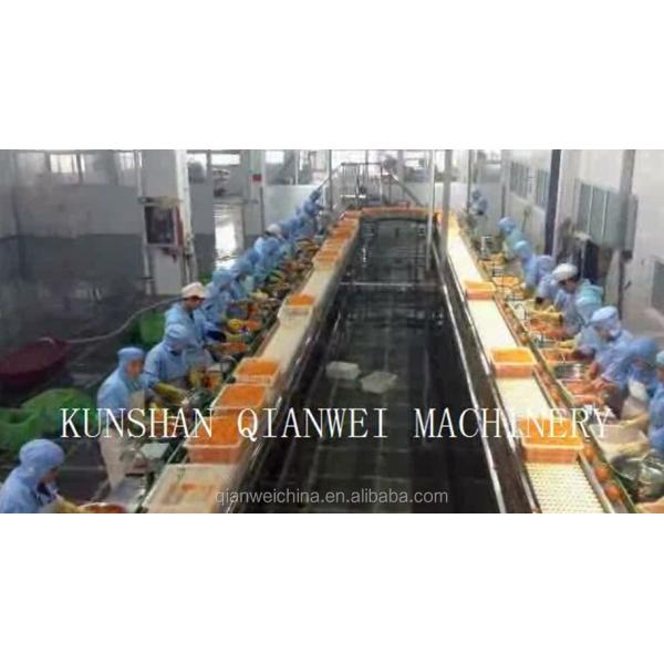 Commercial Orange Juicer Machine Orange Juice Production Line Orange Peeler Machine Peeling