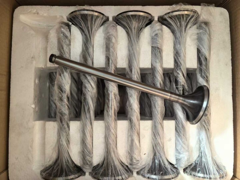 ZICHAI 8250 6250 Diesel Generator marine engine INTAKE VALVE	L250-03-004A  