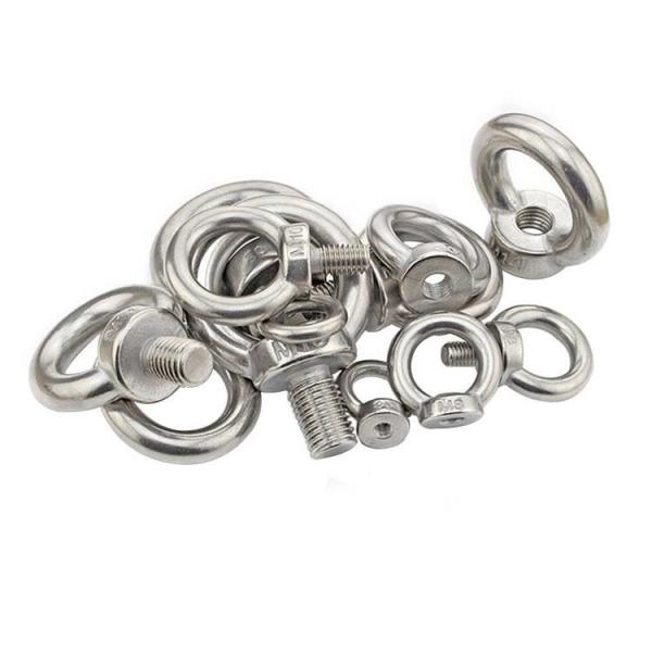 Болт подъемной скобы DIN580 A2 нержавеющее M8 - крепежные детали нержавеющей стали M24