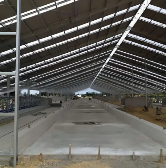 Hot-Dip Galvanized Steel Cattle Shed with Natural Ventilation and Customizable Design for Dairy and Beef Cattle