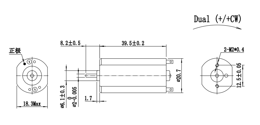 FT-190 High Torque DC Electric Motors 1W 3W 5W 6W 10W 15W DC Brushed Motor