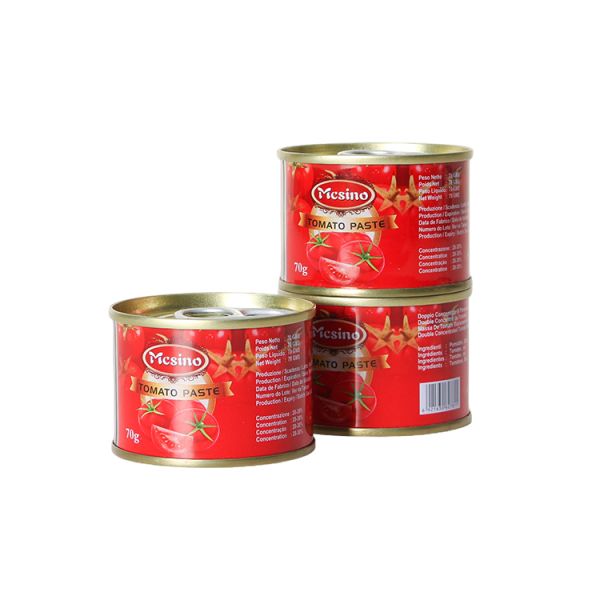 2024 China Manufacturer Tomato Paste 70g Canned Tins Sour & Sweet Taste Wholesale Supplier