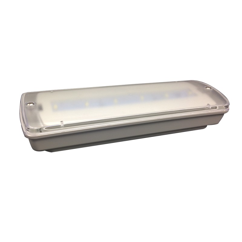 200LM 3W Waterproof Emergency Light Hallway LED Rechargeable 50Hz 60Hz IP65 L116N-E
