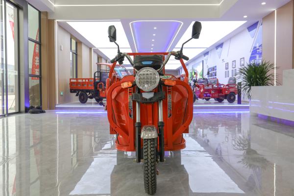 Best Selling Heavy Load  Motorcycle Trikes 2 Person Electric Scooter With Cheap Price