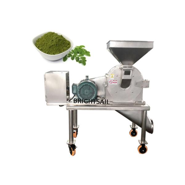 Высушенные лист 500кг Моринга травы лист/машина цеха заточки х