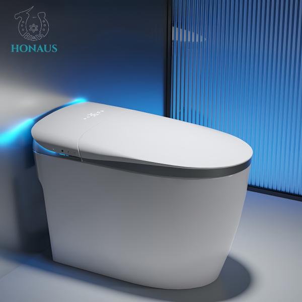 Multi Functions Smart Intelligent Toilet Night Light Ceramic Body Foam Shield