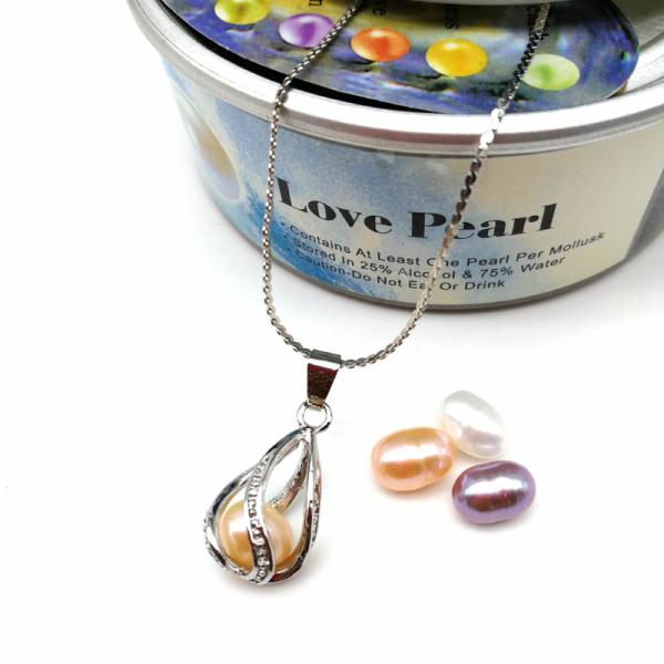 Fashion Necklace For Unisex Gift Pearl Cage Pendant Essential Oil Diffuser Jewelry Making Accessories