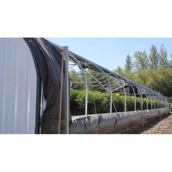 Парник гриба черно-белого тоннеля пяди крышки фильма одиночного пластиковый