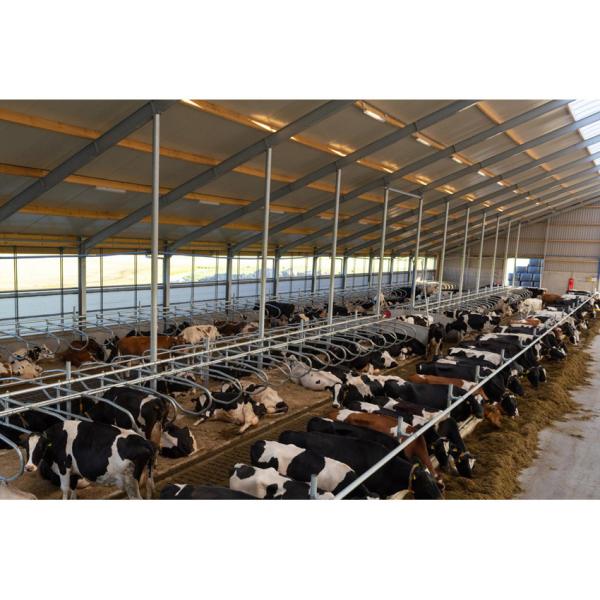 Painel de sanduíche leve de aço de estilo industrial Armazém pré-fabricado para ginásio