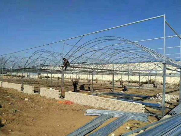 Low Cost Large Glass Greenhouse , Backyard Greenhouse Kit Electrical Or Water Heating System