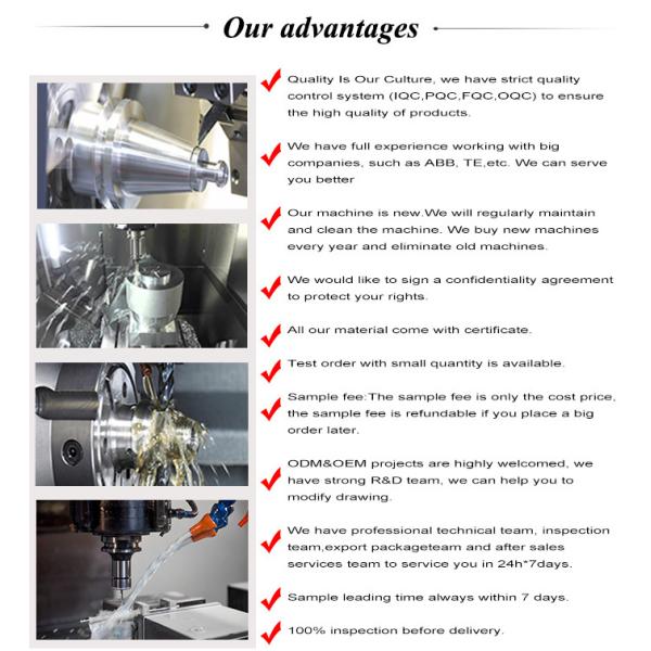 0.250kg OEM Customized High Precision Iron Zinc Alloy Aluminum Die Casting Spare Part
