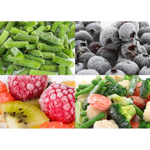 380в 100 кг/ч Морозильная машина для овощей и продуктов питания