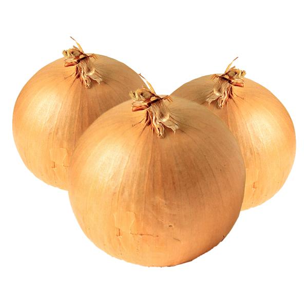 New crop of red shallot onion with low price for export Chinese onion