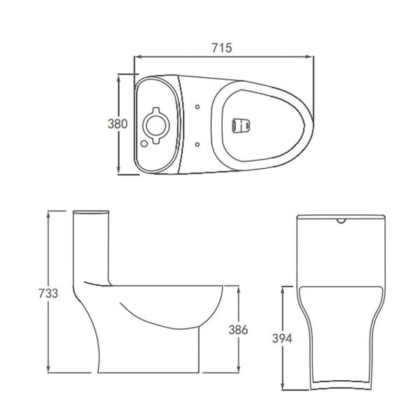 Санитарный туалет западные 715×380×733mm 1 части Ceram двойной полный