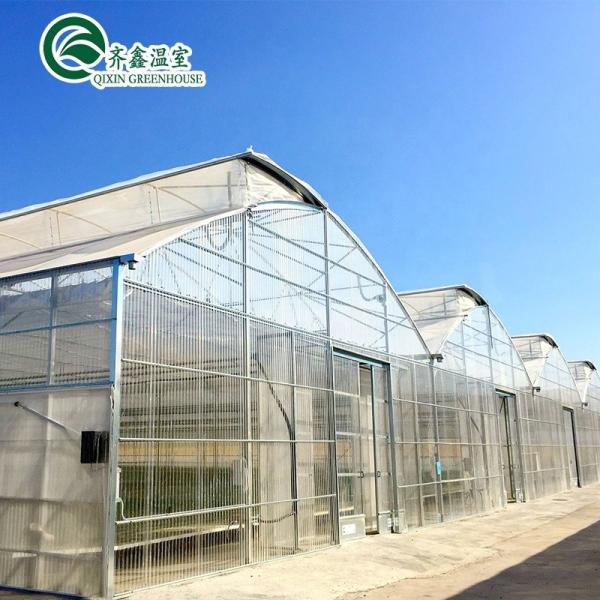 Vegetable Fruits Flowers Tomatoes Greenhouse with Inside and Outside Shading System