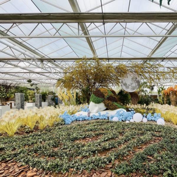 Стеклянная крышка теплицы однослойная гидропонная система для теплицы