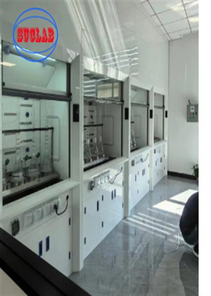 220V Chemical Fume Hood Lab Acid Fume Hood Wall Mounted with Horizontal Structure