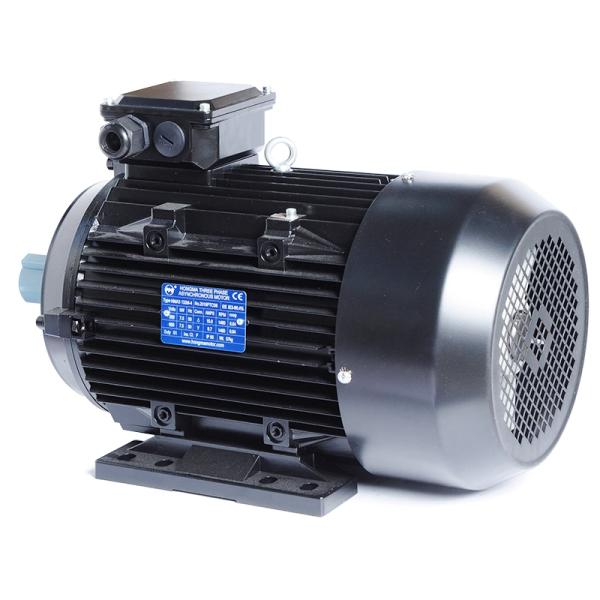 3 Phase Induction Motor Insulation Class F 2KG for Popular Washing Machine Water Pump