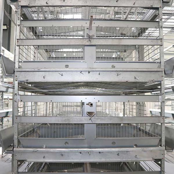 90 - 256 Birds Battery Cage System , Durable Enriched Cages For Laying Hens