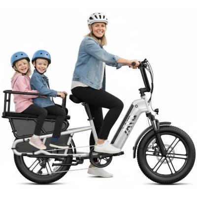 Yeestep TST Carrier 20 Electric Cargo Bike 48V Lithium Battery Hybrid Cargo Electric Bicycle Brushless Motor Disc Brake 1200W
