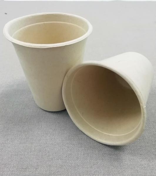 12 Oz Sugarcane Cup With Lid Eco-Friendly Sturdy Disposable Hot And Cold Beverages Cups, Coffee Cups
