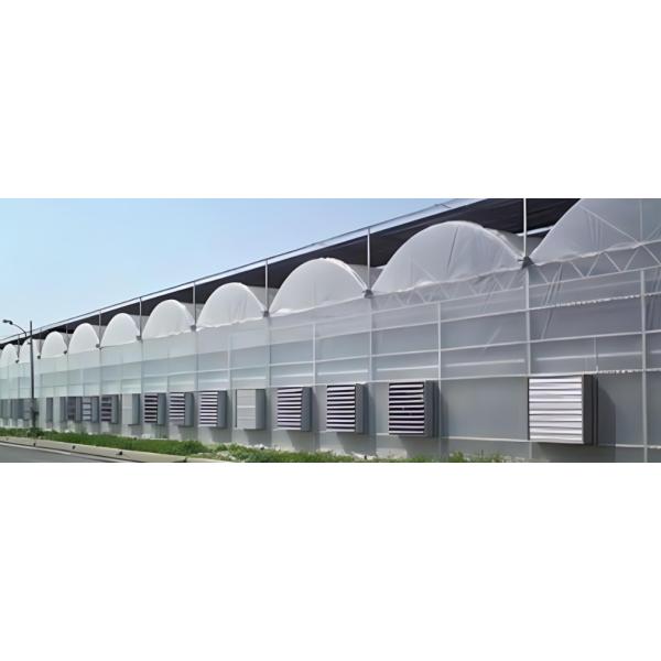 Система теплиц в США для выращивания овощей и цветов с одной сковородой 30 дней возврат