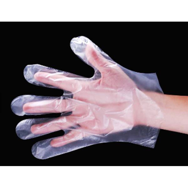 Transparent PE Food Safe Gloves , Disposable Food Service Gloves Oil Resistant