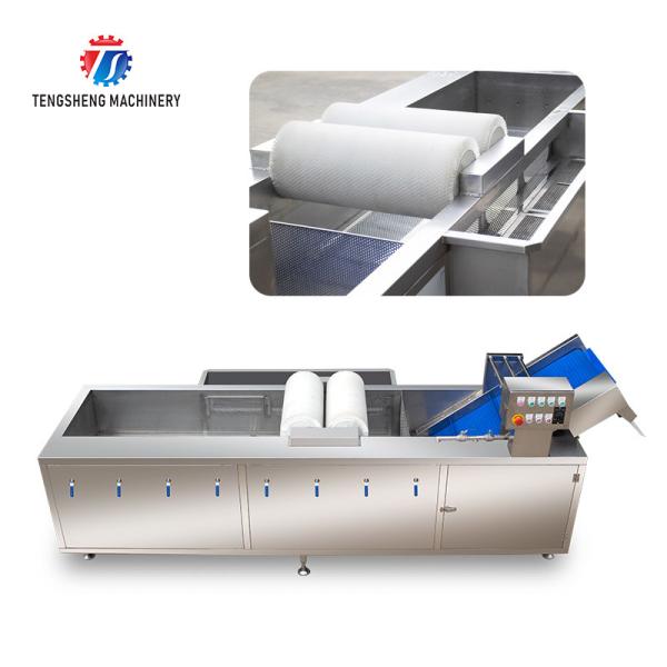 250KG Commercial fruit and vegetable brush cleaning machine air bubble cleaning machine multi-functional washing