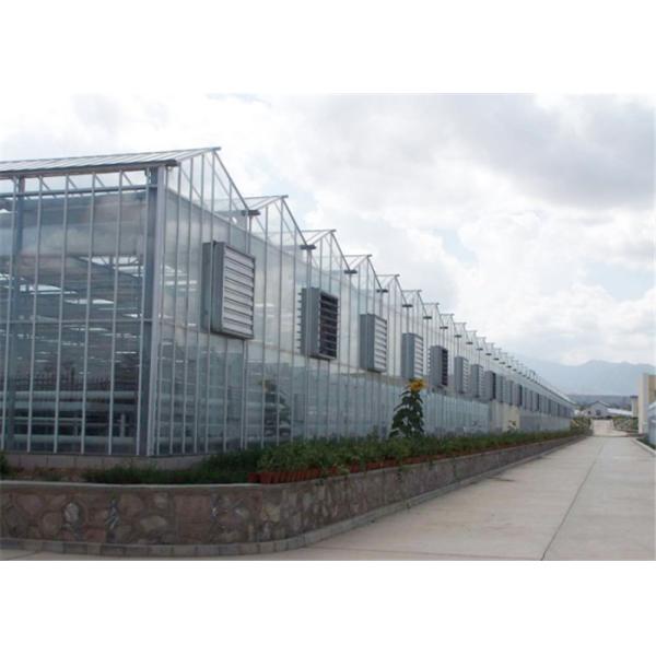 Good Reliability Agricultural Glass Greenhouse 4mm / 5mm Glass Covering