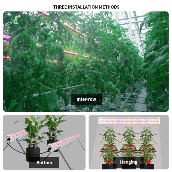 Adjustable Spectrum LED Grow Lights 4ft 100W 120W 150 Watt Full Spectrum LED Grow Light
