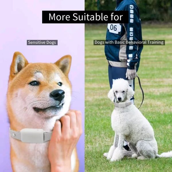 Hot Sale Rechargeable Electric Dog Training Collar 300m Range Safe Beep Vibration Remote 3 Modes Waterproof Nylon Portable Smart
