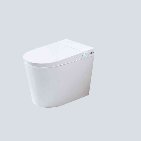 White Bathroom Sanitary Wares Remote Control Wash Down Water Closet Modern Orin ORX51