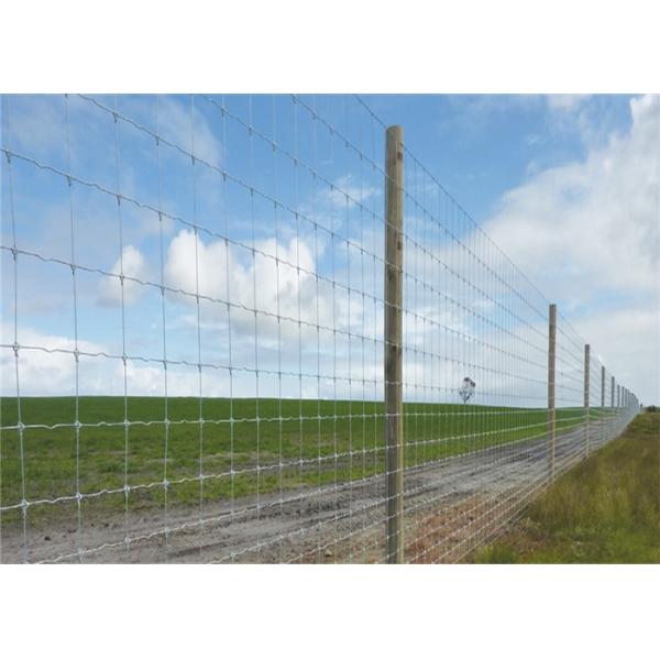 Galvanized High Tensile Livestock Wire Cattle Fencing 50m 100m Length