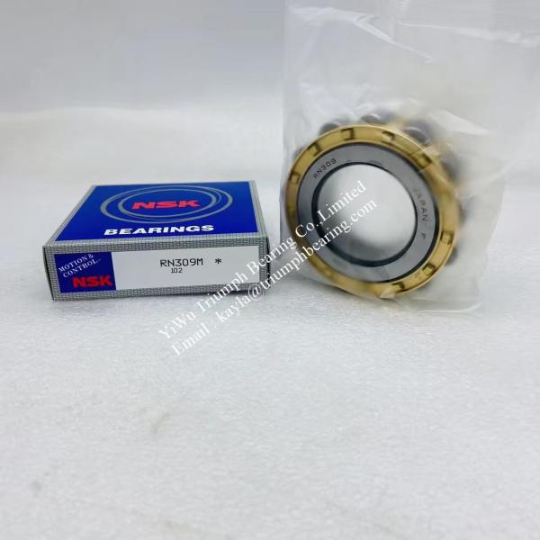 NSK Eccentric Bearing RN309M