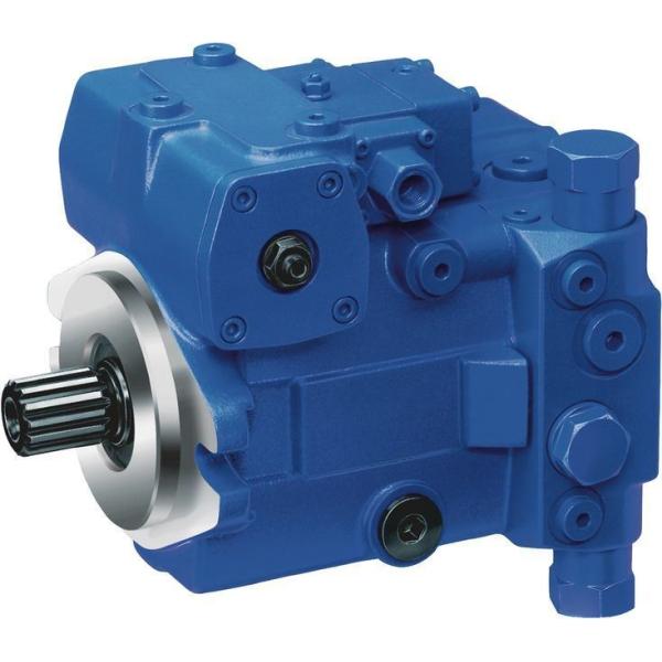 Crawler Crane A4VG125 Hydraulic Pump Replacement for Schwing Concrete Pump Truck