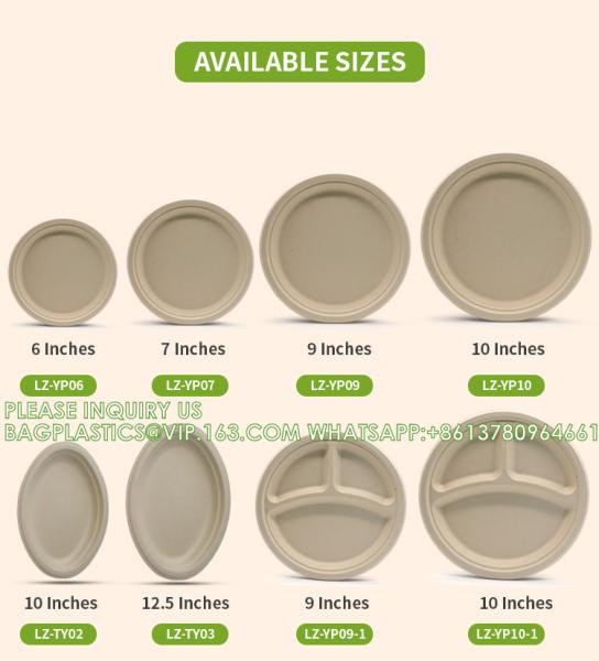 Eco-Friendly Wholesale Bio Disposable Sugarcane Food Container Snack Cookie Fruit Rectangular Plates