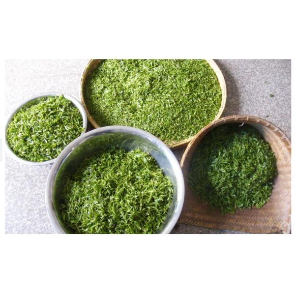 Healthy Slimming Roasted Green Tea Leaves 150g With No Fermented