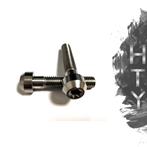 Grade 5 Ti6Al4V  Titanium Motorcycle Parts Titanium Torx Socket Head Screw M6x10 For Bicycle