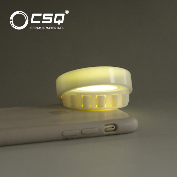 Os rolamentos de rolo cerâmicos ZrO2 de N1006 n1008 n1009 competem a gaiola do