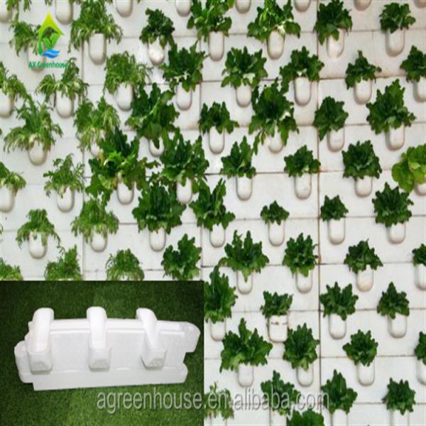 90 sistema hidropônico Soilless da tubulação dos locais 10