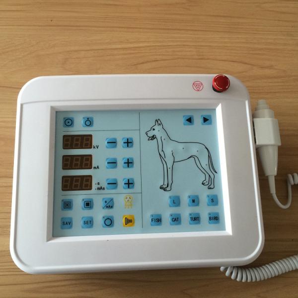 Best Sell Direct X-ray Machine Veterinary X-ray Machine