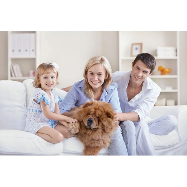 Anodised Aluminum 6W 130ml 300cbm Air Freshener Dispenser