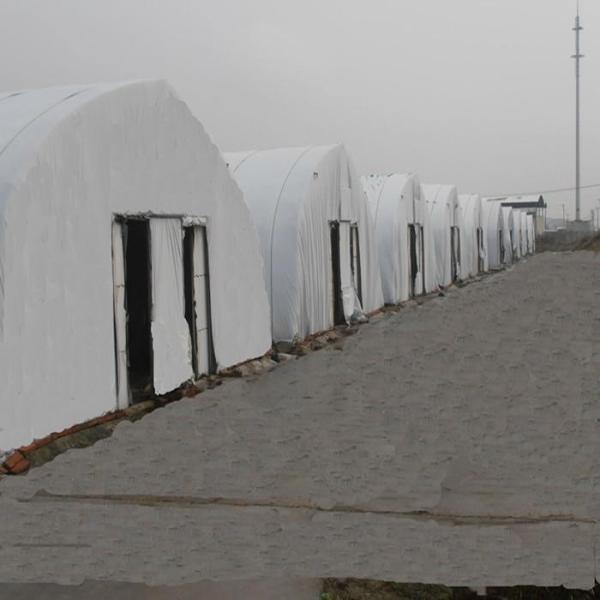 Agriculture Hot Dip Galvanized Steel Framework Panda Film Greenhouse Mushroom Cultivation