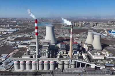 Professional Thermal Power Plant Equipment Steel Structure Platform Anti Corrosion