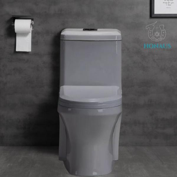 Watermark Bathroom One Piece Elongated Toilet Water - Eco  Scratch Resistant
