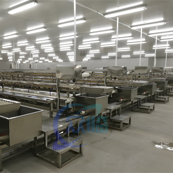 3KW Shrimp Deheading Machine 1000-1500kg/H Prawn Deshelling Machine