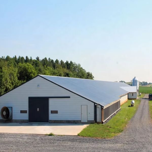 Large Span Industrial Logistics Storage Over 5000 Sqm Steel Structure Warehouse Building